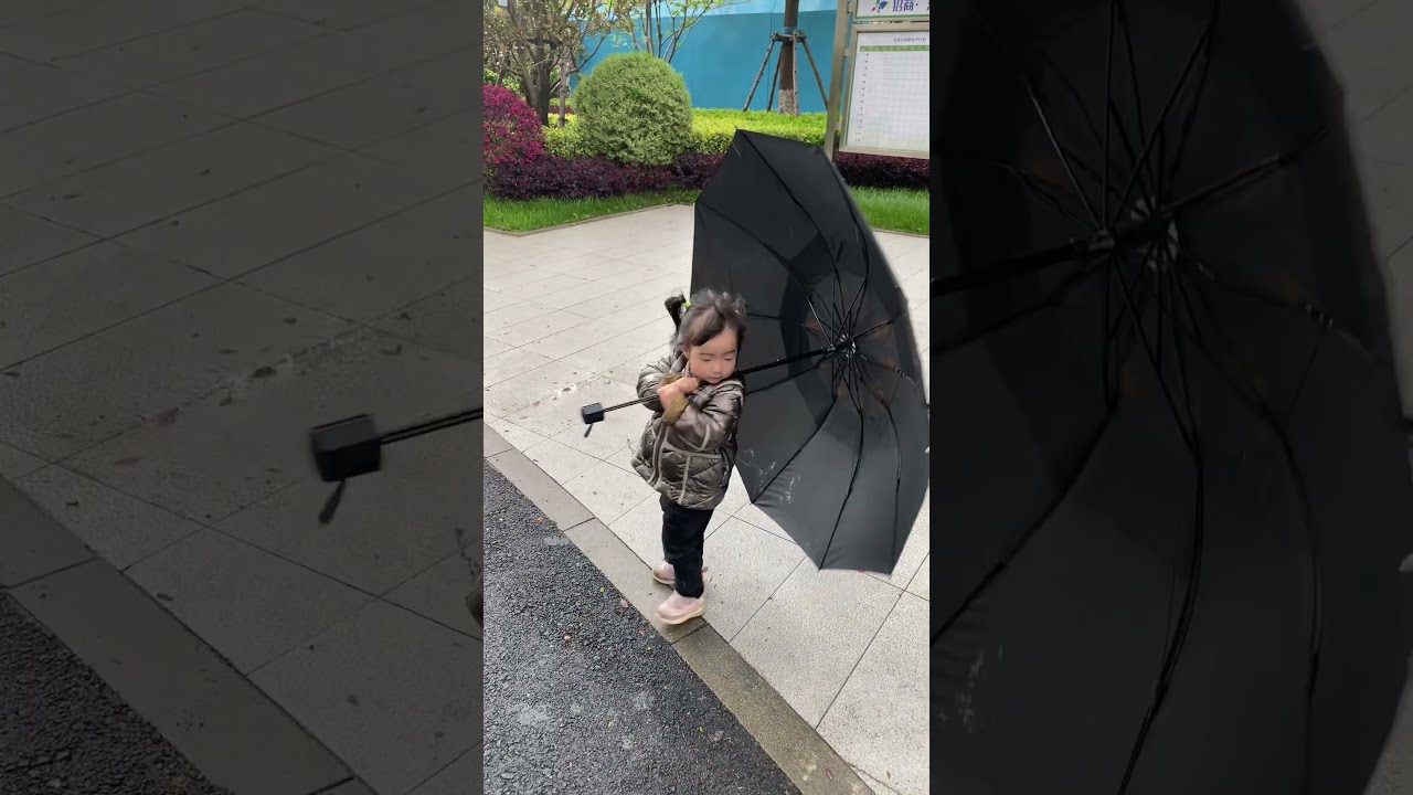 Shorts Video Of A Kid Having Umbrella In Wind Youtubeshorts Shortvideo