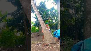 A Spying On Her Own Mother