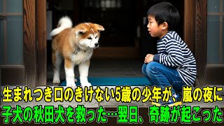 【奇跡の実話】生まれつき口のきけない5歳の少年が、嵐の夜に子犬の秋田犬を救った…翌日、奇跡が起こった。
