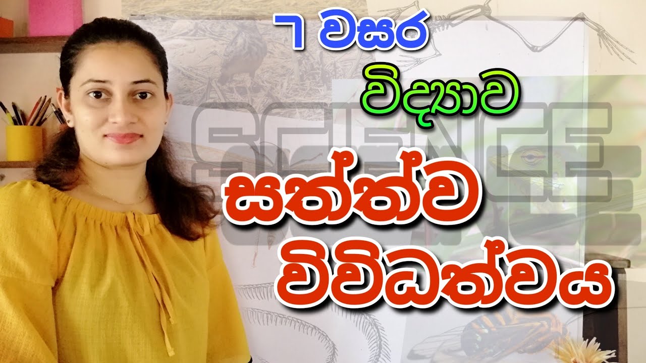 Grade 7 Science 6th lesson - සත්ත්ව විවිධත්වය | Animal Diversity | 7 වසර විද්‍යාව Science in Sinhala