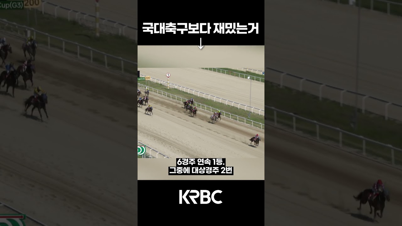 국대 축구보다 재밌는거 #shorts #경마방송 #기수 #경주마 #경마 #KoreaHorseRacing