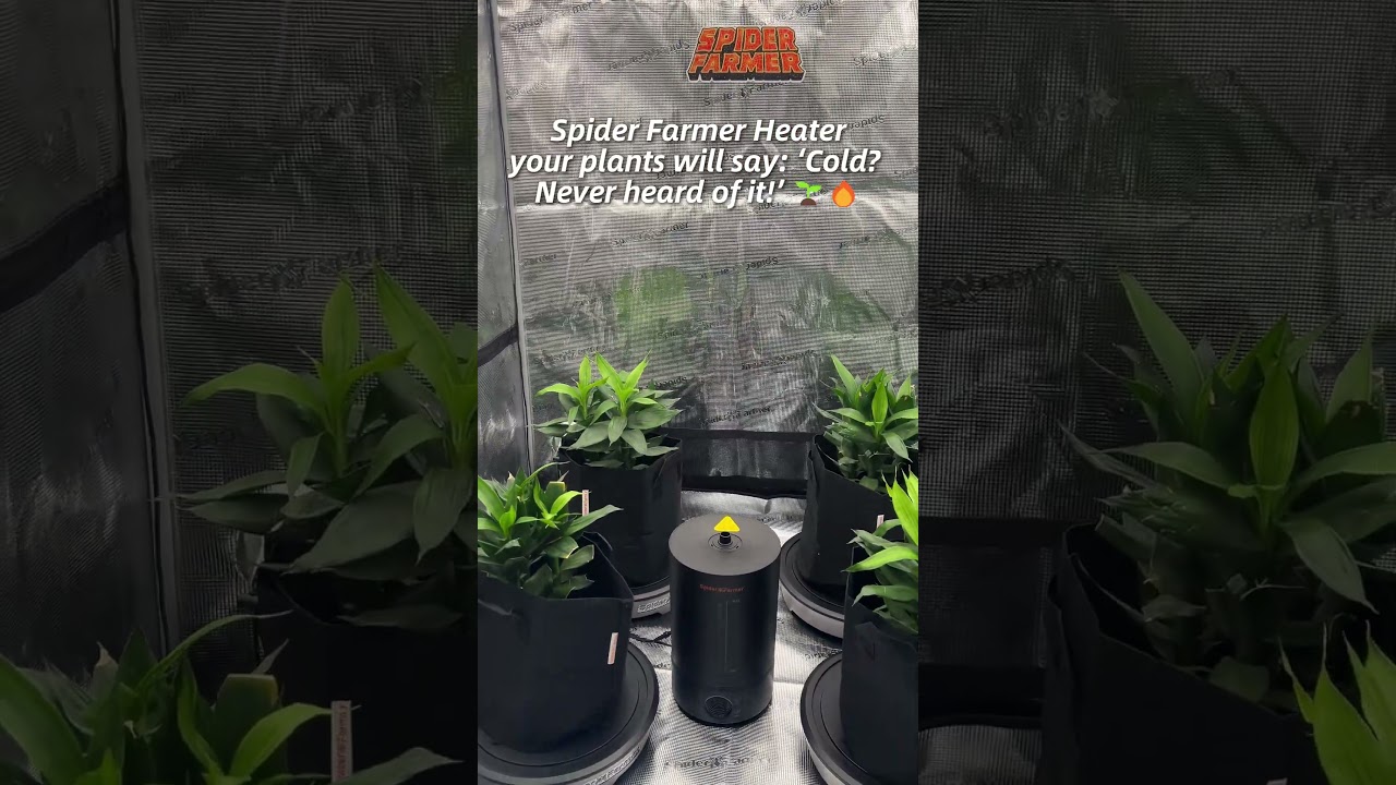 🔥 New Spider Farmer Heater – Smart, Safe, & Efficient! 🌿🌡️