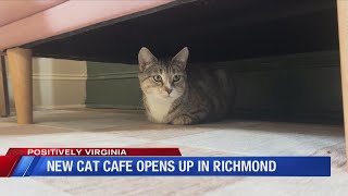 New cat cafe coming to Richmond