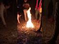 Magical Campfire Night & Picnic Vibes 🔥✨ dj