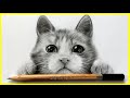 😻Como dibujar un GATO REALISTA ( Como Dibujar animales )  MUY FACIL