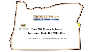 Econ 203 - Chapter 13 Micro