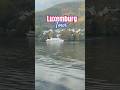 Luxemburg Tour | Luxemburg Beauty #viralvideo #travel #luxembourg #youtubeshorts #ytshorts #viral