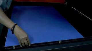 Celebrity DGPS Video 8 Net Worth