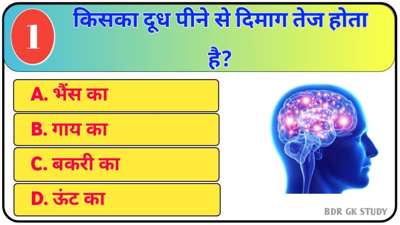 GK Question || GK In Hindi || GK Question and Answer || GK Quiz || BDR GK STUDY ||
