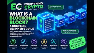 How Blockchain Nodes Work: Full, Light & Validator Nodes
