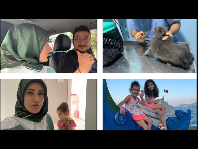 Esim Beni Aglatti Duman Kotulesti Kedi Tirmalamasina Son Dayanamadim Gittim Vlog Youtube