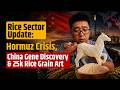 Rice Sector Update: Hormuz Crisis, China Gene Discovery &amp; 25,000 Rice Grain Art | CommodityTodayEn