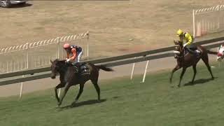 Odd Rob Turffontein 18 October 2018