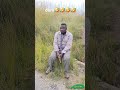 Handichabate Doro Trending Funny Foryou Follow 