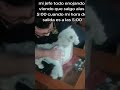A curly lo consumió el crack 👻