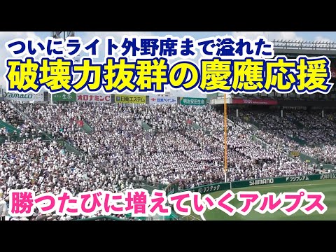 勝つたびに増える慶應大応援！入りきれなくアルプスから溢れる応援の圧倒的破壊力が凄すぎる！準決勝 得点時の慶應応援！甲子園 高校野球