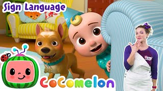 the night before jjs birthday cocomelon nursery rhymes learn asl baby sign language for kids