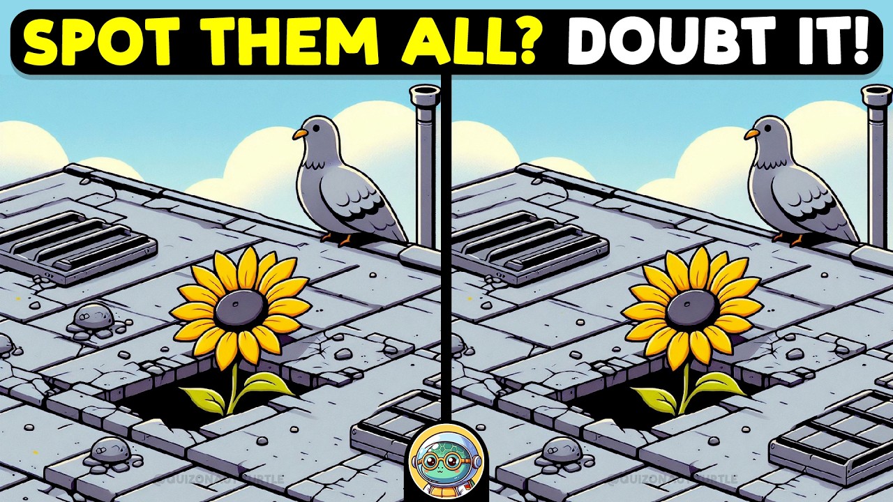 🐢🧩 Spot 3 Differences | Can You Beat the Clock? 🧩🐢 | Quizonaut Turtle