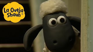 La Oveja Shaun Shaun En La Casa Dibujos Animados Para Niños