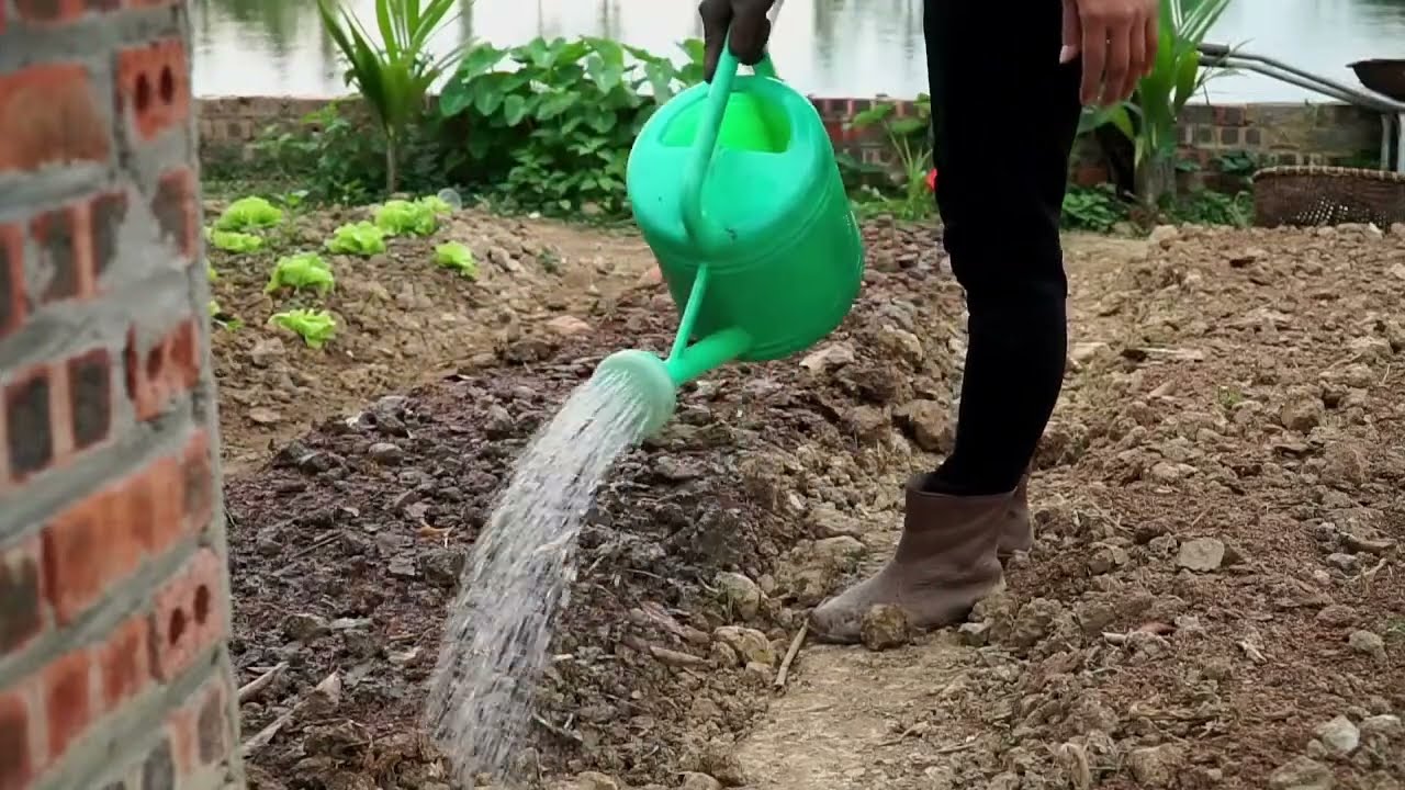 FULL VIDEO: 120 Days Catch Giant PYTHON Attacks Duck Farm - Harvest Fruit Garden Goes to Market Sell