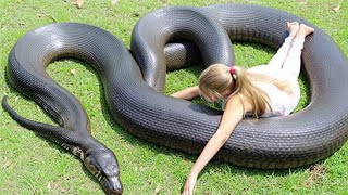 River Giant