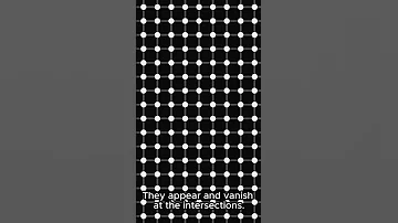 Do You See Flickering Dots Scintillating Grid 