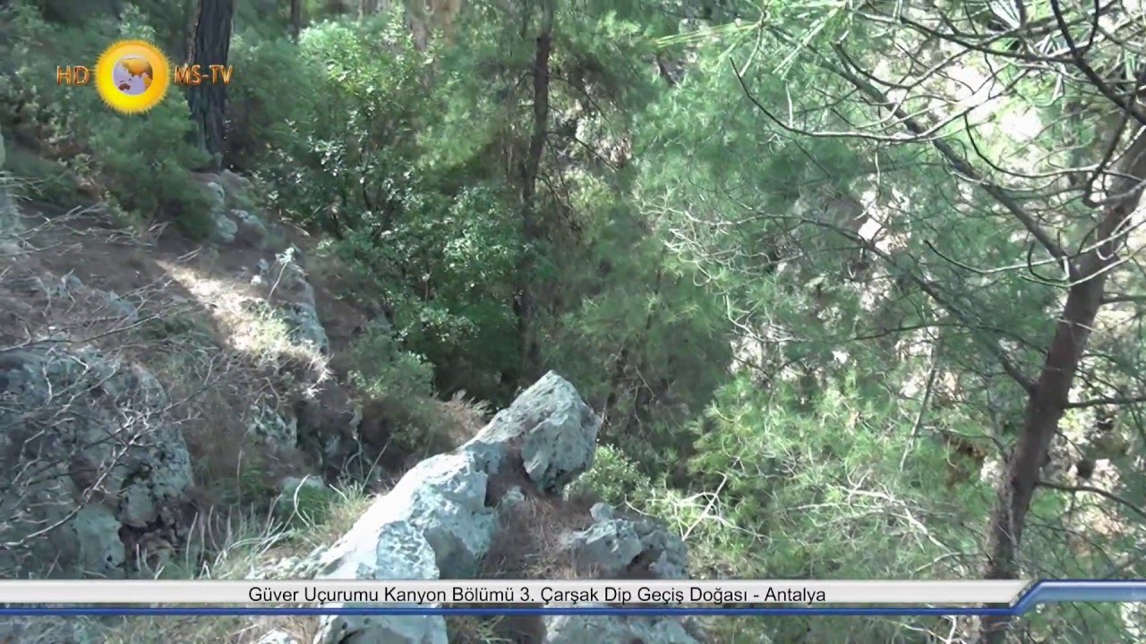 YouTube player