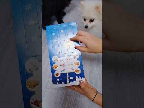 Продолжаем #адвент #kinder #adventcalendar #advent #адвенткалендарь #christmas #newyear #рождество