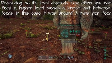 Finding Bigfoot taming a Gigantopithecus Ark Survival Evolved PS4