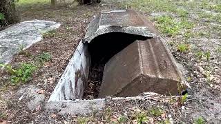 Famous Black cemetery vandalized with 'Trump' painted on graves Wealth