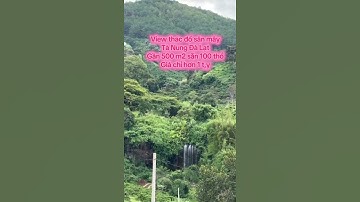 Siêu Hiếm ! Đất view trực diện thác đổ tự nhiên trong cụm dl View Triệu Mây kế bên Đà Lạt