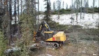 Logging in Alberta, Leniam Industries 2006ltd.