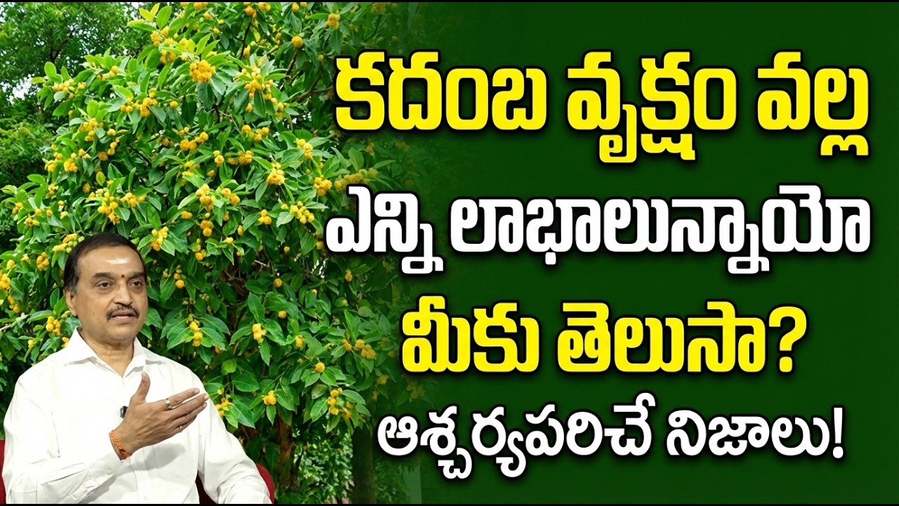 Visswanath - Kadamba Vruksham | Benefits of Kadamba | Kadamba plant | SumanTV Padmini