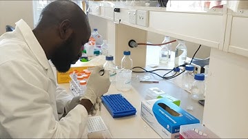 How does RT-PCR work (old version)?