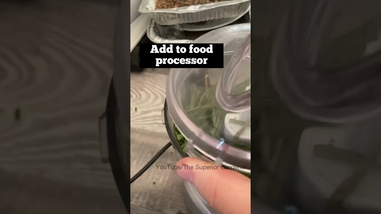 A Simple Way to Store Chives - Part 1: Dehydrating