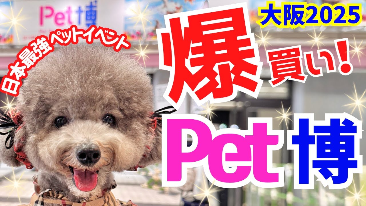 【Pet博2025大阪 速報】国内最大級ペットイベントで爆買い🐶130ブースから絶対欲しい激推しアイテム徹底紹介【インテックス大阪】