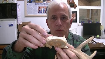 193 RSW Typical Morning On The Bench Repairs And Setup