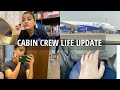 Cabin Crew life update after Covid | Layover in Hyderabad #cabincrew #airhostess