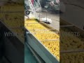 ETT78 Main Engine Corn Nutrition Powder Production Line | Full Automatic Extrusion System