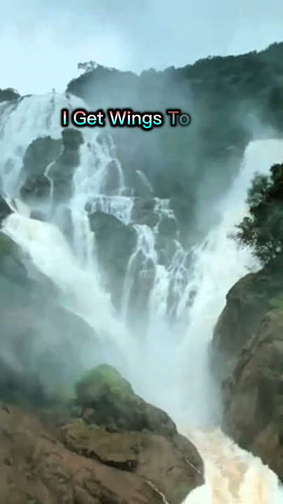 Incredible India #travel #india