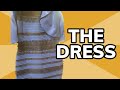 How a dress and two llamas created the best day on the internet  meme history