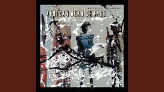 Video thumbnail of "African Head Charge - Undulating"