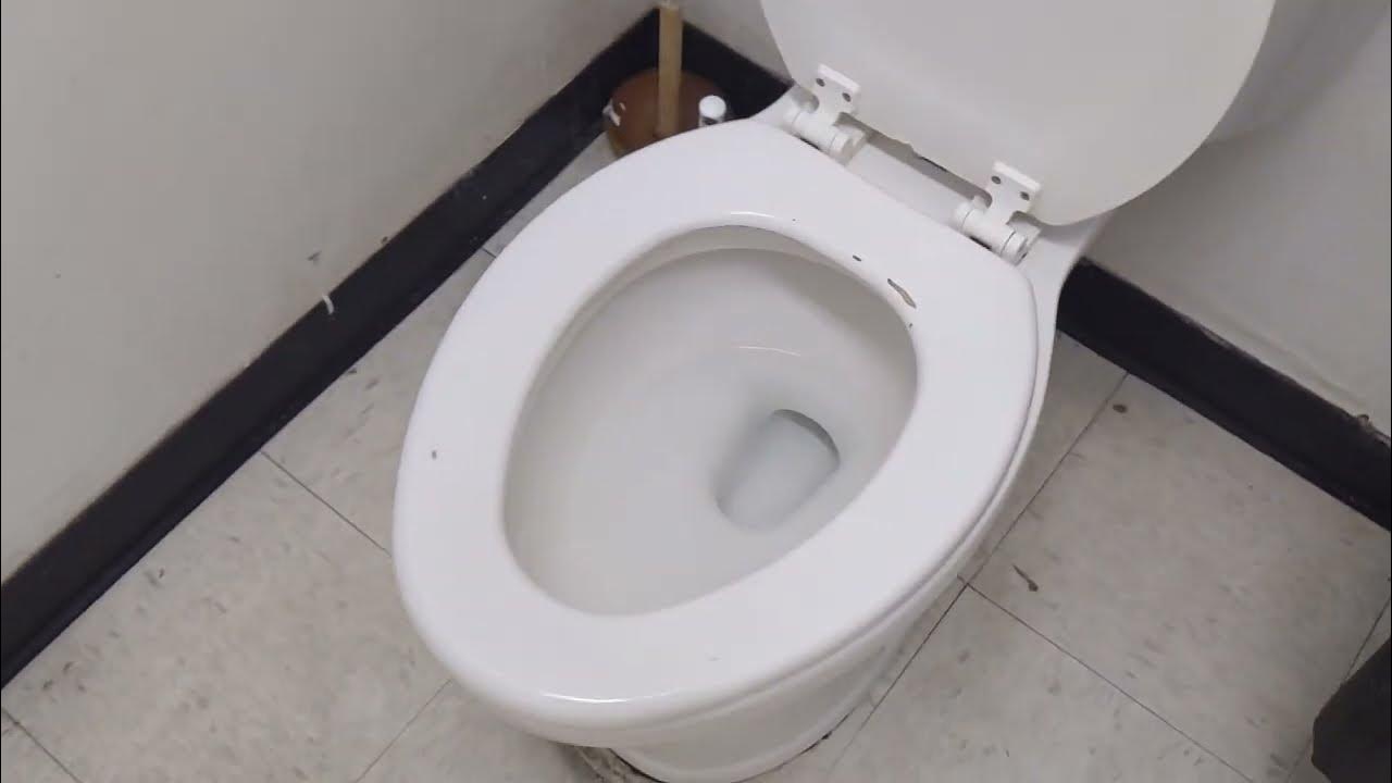 467. Dollar Tree Unisex Restroom Fullshoot YouTube