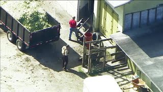 Hialeah man accused of illegally selling horse meat