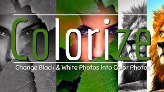 Colorize | Black & White Photos screenshot 4