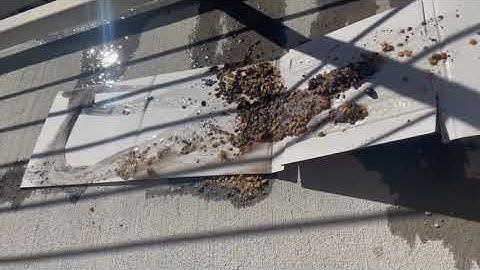 Alluvial Fan Simulation