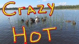 Snapping Turtle Trap #102 Ducks For The Homeless