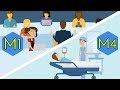 Medical School Journey Quiz