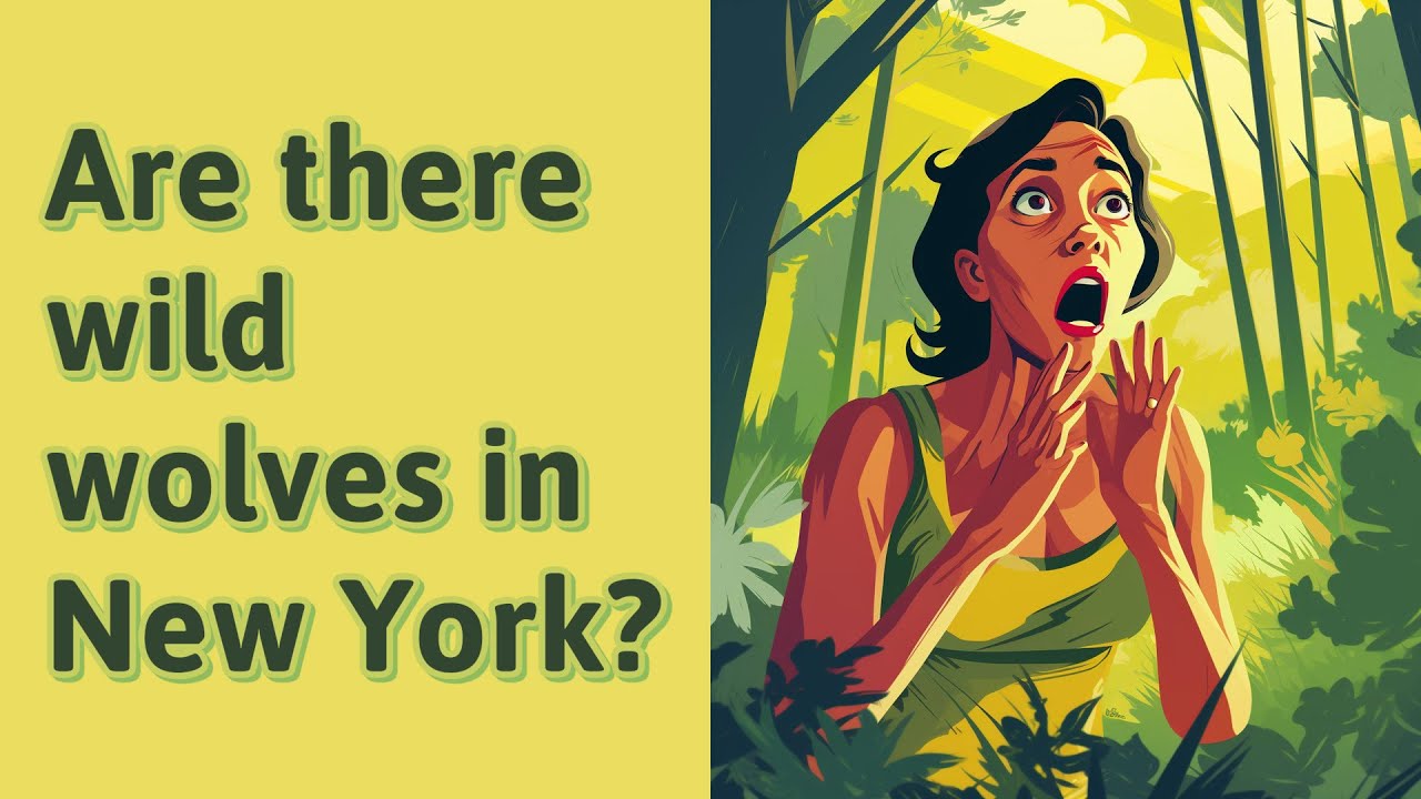 Are there wild wolves in New York? YouTube