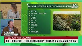 ¿Cuántas variedades de papa se producen en Argentina?
